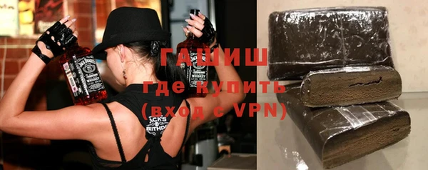 индика Горняк