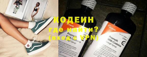 индика Горняк
