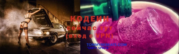 индика Горняк