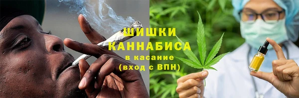 шишки Горнозаводск