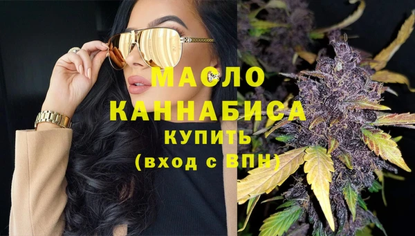 индика Горняк