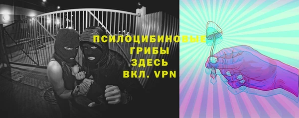 шишки Горнозаводск