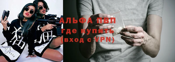индика Горняк