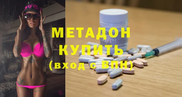 индика Горняк