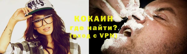 индика Горняк