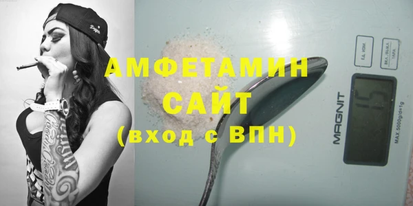 индика Горняк