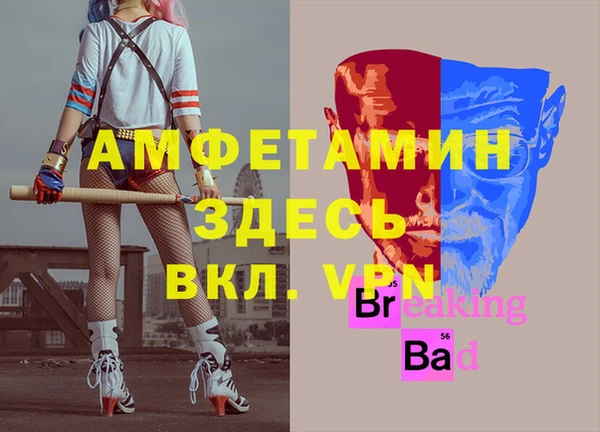 индика Горняк