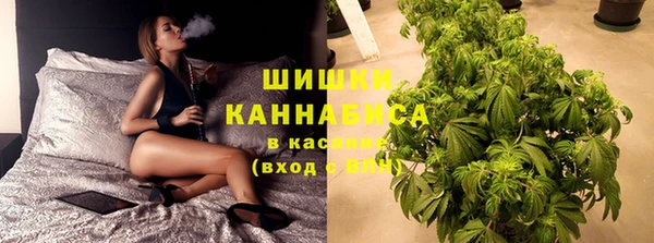 шишки Горнозаводск