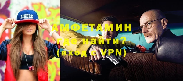 индика Горняк