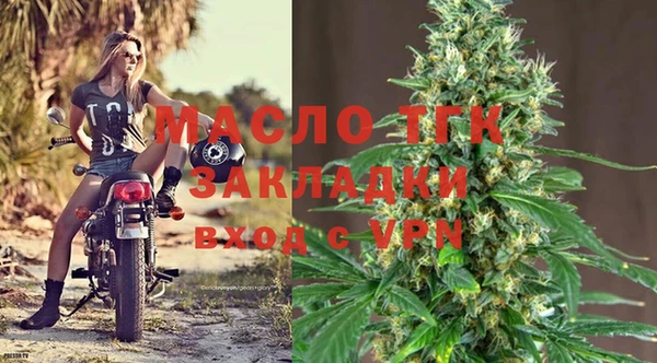 индика Горняк
