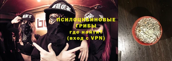 индика Горняк
