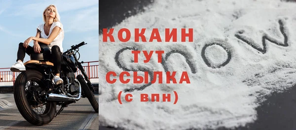 индика Горняк