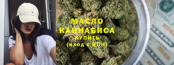 индика Горняк