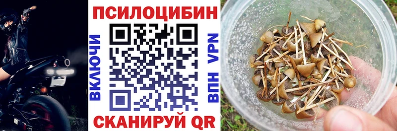 где можно купить наркотик  Балаково  Галлюциногенные грибы Psilocybine cubensis 