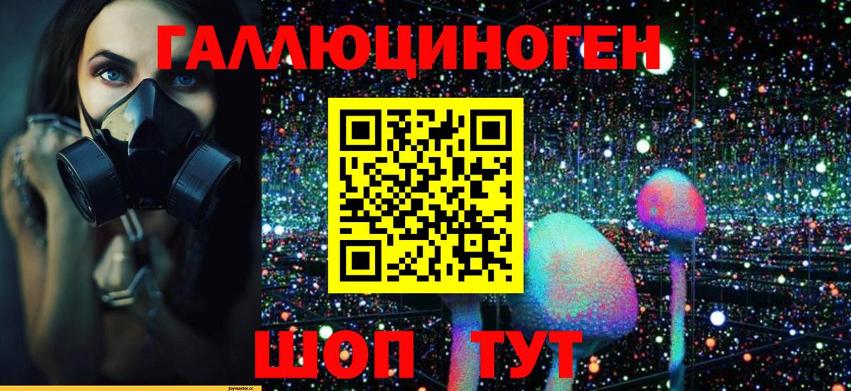Балаково  Галлюциногенные грибы Psilocybine cubensis  Вход с VPN 